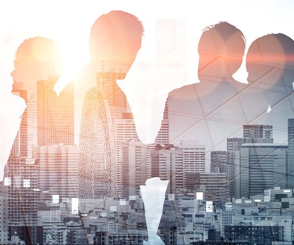 Commercial Litigation